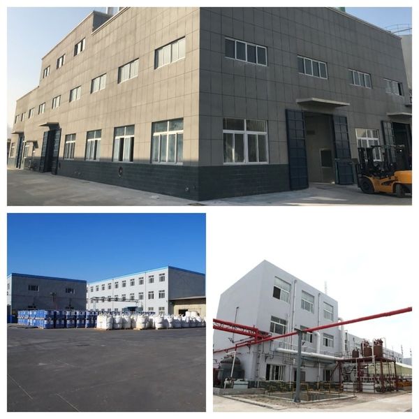 Chine Shandong Jiuchong Chemical Co., Ltd. Profil de la société